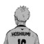 hoshiumi