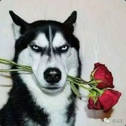 第一天杀我直接退