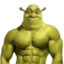 Gym-Shrek