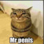 MR.Penis