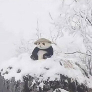 菜就得多练