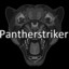 Pantherstriker