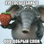 добрый слон