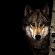 FastWolf