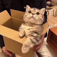 月亮不睡我不睡