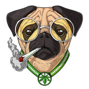 Wicked Bastard Steam avatar