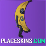 PLACESKINS.COM <-> TRADE BOT