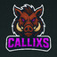 Callixs