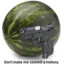 wATERMELON fELON