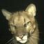 Avatar of player Eto Musya