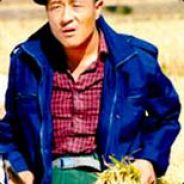 我有保险，我先上