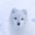 Jack Frost