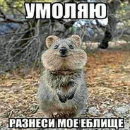 {27}//кушаю скитлс