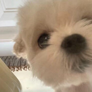 󠀡󠀡󠀡󠀡󠀡󠀡󠀡