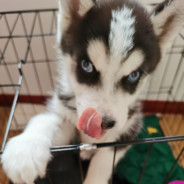 一波送走，全送走