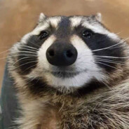 InflatedRat Steam avatar
