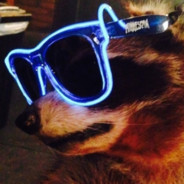 Rhythmic Raccoon