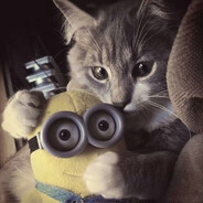 kitty