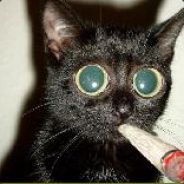 Tia - steam id 76561197960674893