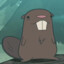 Beaver