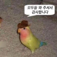 민성아 나랑결혼하자