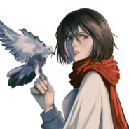 Mikasa