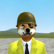 DogePlayz avatar