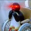 DisabledPenguin69