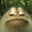 Monke