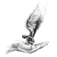 El1iax - steam id 76561198212179327