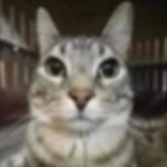 серега пират