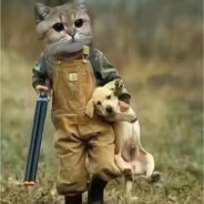 喵桑就是我滴神