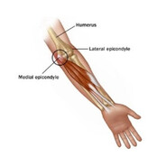 Medial Epicondyle