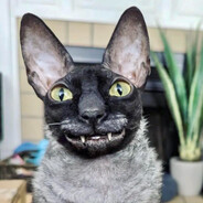 Catamintz