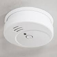 African Ceiling Bird