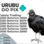 urubu do pix