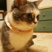 你别和谐我名字