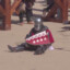 Sir Dristalot