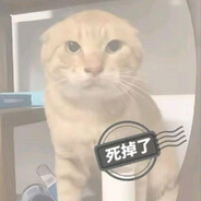 正宗大肥猪