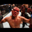 nate diaz