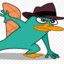 Perryelpatito