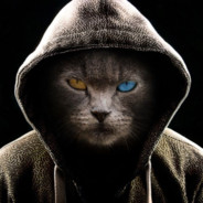 Kolija33 avatar