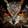 Bubo Bubo