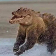 just a regular crocodile