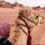 bedouin