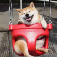 请出示健康码有序登船