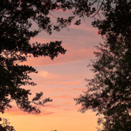 飘洋在黑色的海