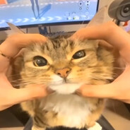 śmøki - steam id 76561199129282449