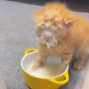 So lost with YYYYYYY.