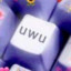 U//w//U